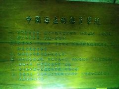 -蛇蟠岛