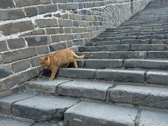 -司马台长城