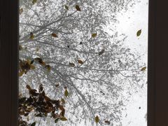 -十一咖啡(青年大街工厂店)