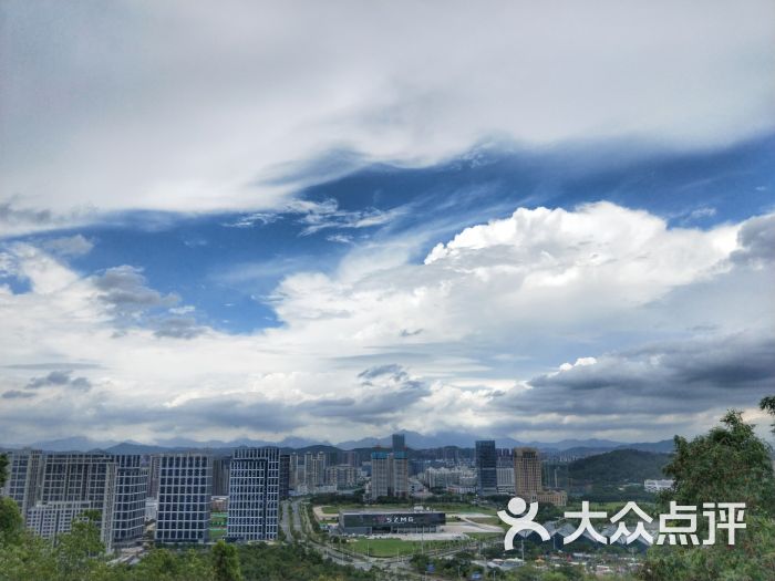 大运体育中心公园-图片-深圳运动健身-大众点评网