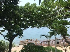 -杨梅坑