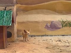 -昆明动物园