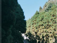 -井冈山革命烈士陵园