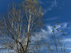 -泸沽湖国家级风景名胜区走婚桥