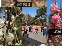 -北京市劳动人民文化宫