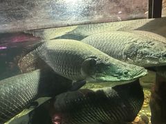 -嘉兴海底世界
