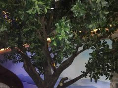 -绿茶餐厅(昆明世纪金源店)