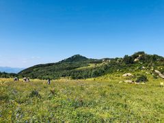 -白草畔自然风景区