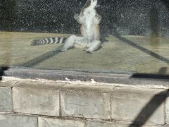 -辛玛王国游乐园