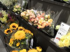 -鹿岛会员店(熙地港店)