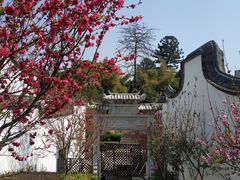 -乌山风景区