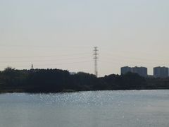 -广东花都湖国家湿地公园