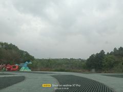 -大塘金香草谷