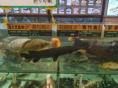 水产区-百鱼庄(仙葫店)