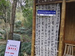-兰亭风景区