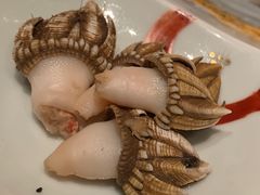-橼舍鮨青木
