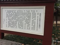-堤角公园