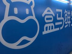 -盒马X会员店(王府井奥莱UP TOWN店)