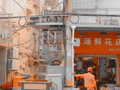 -溪岸路花鸟市场