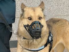 -蒲黄榆(地铁站)