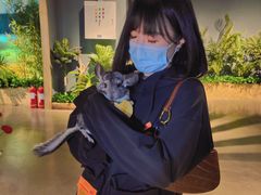 -昆明大悦城未来动物城(螺蛳湾中心店)