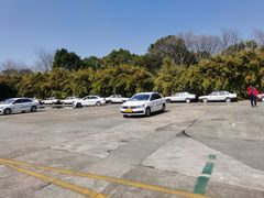 -胜华驾校·小猫学车(银都店)