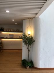-ANNIL安奈尔·NASX超透白·科技抗衰·问题性肌肤管理