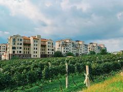 -泰生小镇旅游景区