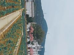 -玫瑰海岸文化旅游度假区