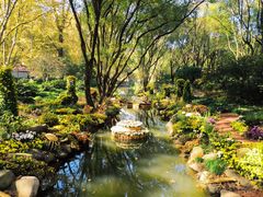 -上海共青森林公园