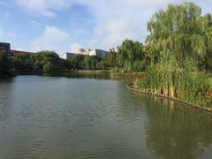 -中国浦东干部学院