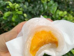芒果糯米糍-澳门长洲糯米糍(柯打苏沙街店)