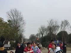 -武汉紫薇都市田园