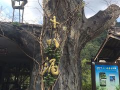 -磐安十八涡风景区