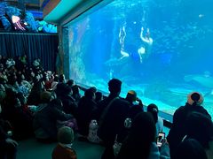 -海合安成都极地海洋公园