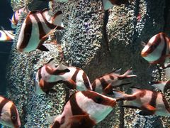 -福州罗源湾海洋世界旅游区