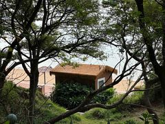 -八大关景区