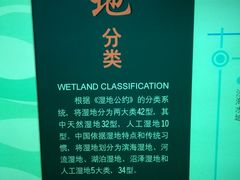 -中国湿地博物馆