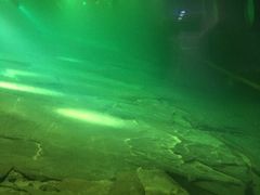 -白鹤梁水下博物馆