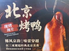 -北京烤鸭 ·儿童菜 ·采风阁家常菜餐厅(亚龙湾天域酒店)