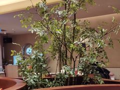 -墨纪Mojí墨西哥餐厅(官舍店)
