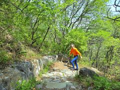 -阳台山自然风景区