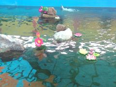 -北戴河圣蓝海洋公园