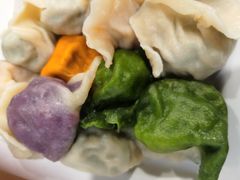 -宝源饺子(麦子店街店)