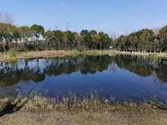 -昆山城市生态森林公园