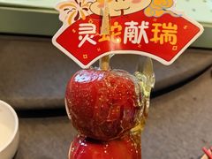 -羲和雅苑•北京烤鸭(平安国际金融中心店)