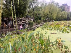 -莲湖公园