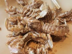 皮皮虾-渔民船说·北塘海鲜·天津菜·海肠捞饭(北塘古镇店)