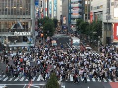-涩谷全向十字路口