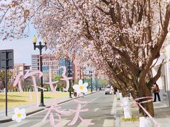 -成都大学-图书馆